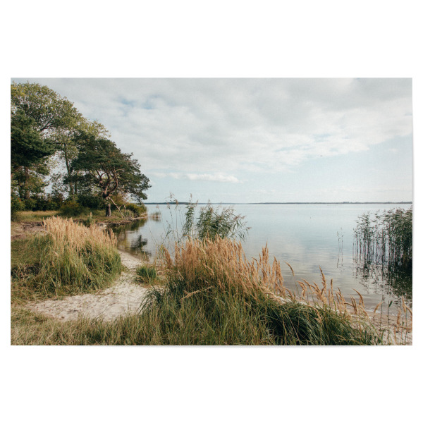 Poster "Halbinsel Gnitz" artboxONE - Natur,Reise,Reise / Strand und Meer - Ostsee,Gnitz,Usedom,Natur,Schilf,Meer,Strand,See,Sand,Ufer