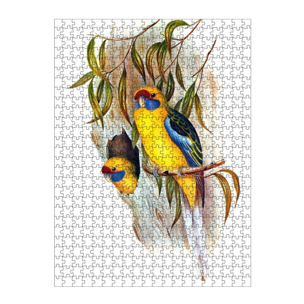 Puzzle Ravensburger "Yellow-bellied Parakeet" artboxONE - Natur,Reise,Für Kinder,Tiere