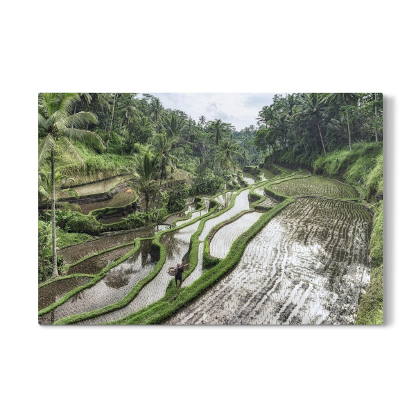Galerie-Print "Ubud-Landschaft" 30x20 cm artboxONE