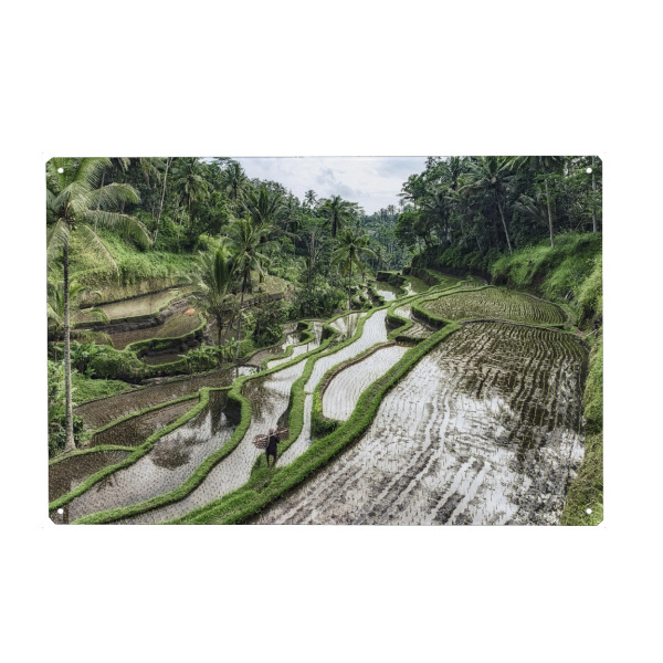 Holzbild "Ubud-Landschaft" artboxONE - Natur,Reise / Asien,Reise / Länder,Für Mama