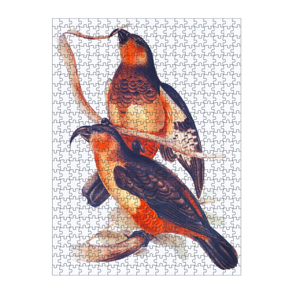 artboxONE Puzzle "Phillip Island Papagei" artboxONE - Natur,Reise,Für Kinder,Tiere