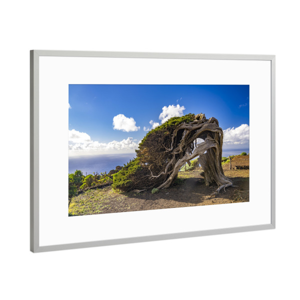 Poster mit Rahmen Silber "El Sabinar, El Hierro" artboxONE - Natur - El sabinar,El hierro,Kanarische inseln,Spanien