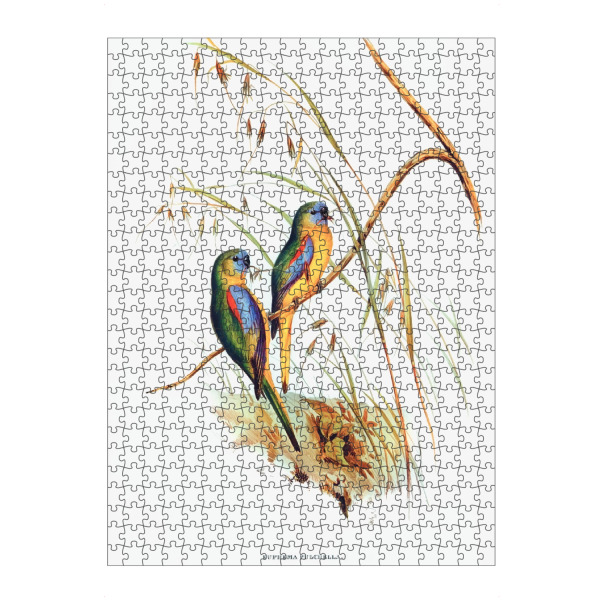 Puzzle Ravensburger "Grassittich" artboxONE - Natur,Reise,Für Kinder,Tiere