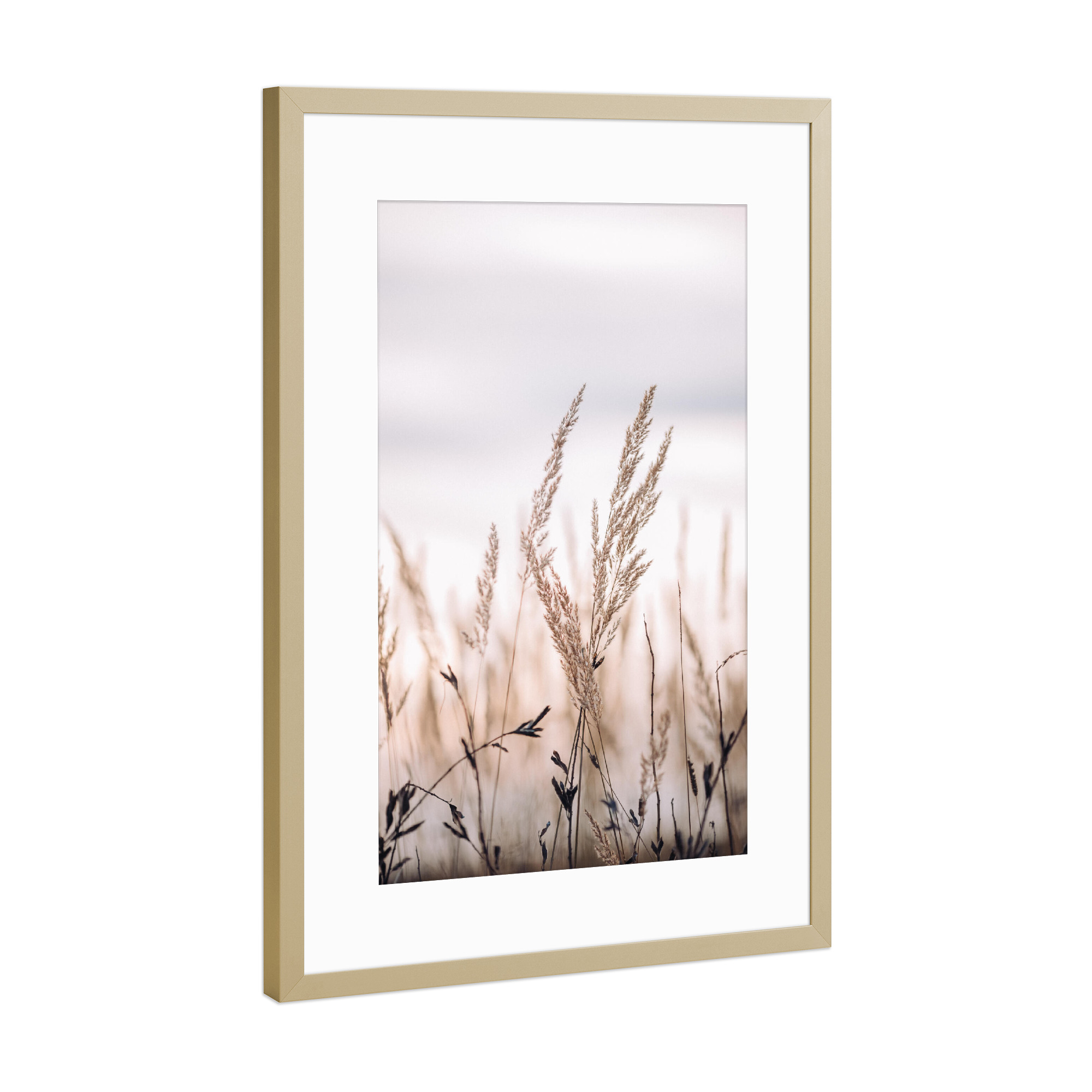 Poster mit Rahmen Gold "Grass stems and dusty sky" artboxONE - Natur,Floral