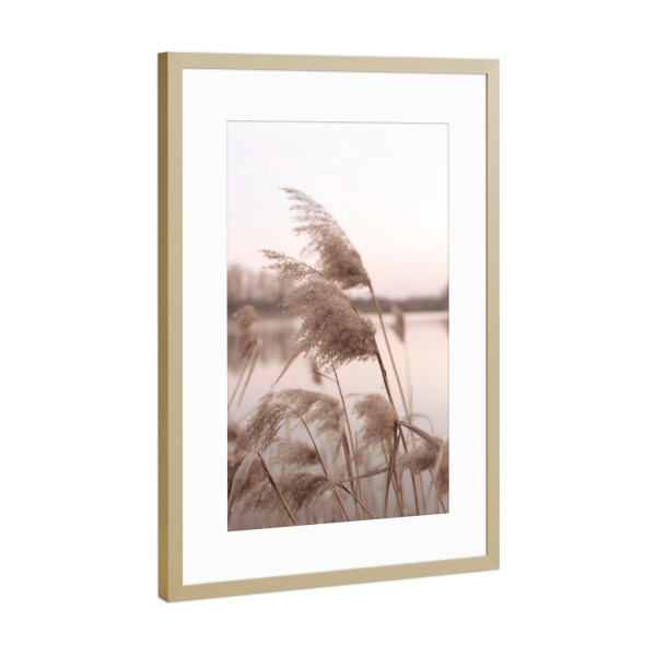 Poster mit Rahmen Gold "Schilfrohr im Wind" artboxONE - Natur,Floral - Schilfrohr,Wind,Natur,Floral,Botanisch,Pflanzen,Boho,Bohemian,Teich