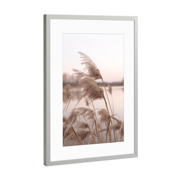 Poster mit Rahmen Silber "Schilfrohr im Wind" artboxONE - Natur,Floral - Schilfrohr,Wind,Natur,Floral,Botanisch,Pflanzen,Boho,Bohemian,Teich