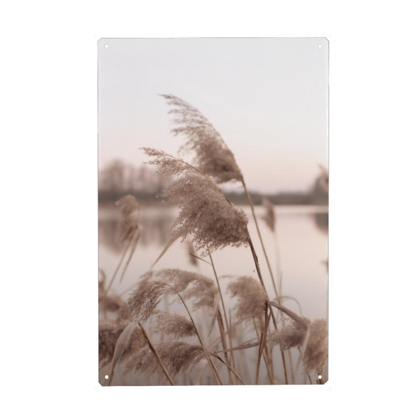 Metall Poster "Schilfrohr im Wind" artboxONE - Natur,Floral - Schilfrohr,Wind,Natur,Floral,Botanisch,Pflanzen,Boho,Bohemian,Teich - Blechschild