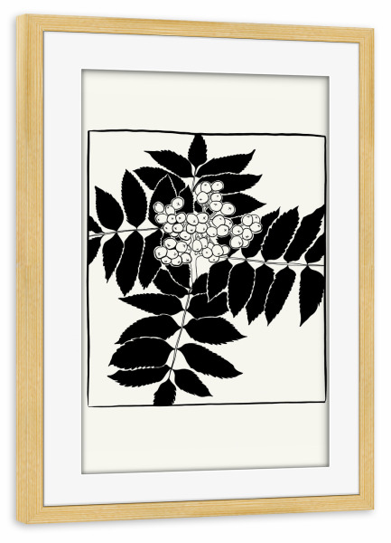 Poster mit Rahmen kiefer "Floral Ink VI collection" artboxONE - Floral,Abstrakt - Floral,Illustration,Pflanzen,Abstrakt,Blumen,Ink