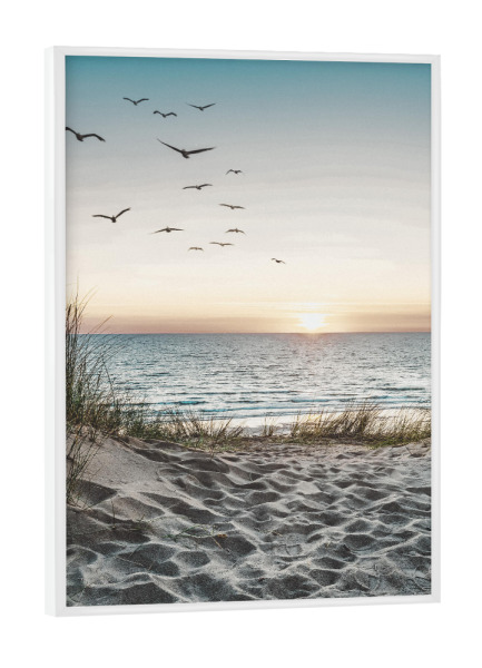 Poster mit weißem Rahmen "Strand und Vögel" artboxONE - Natur,Reise,Tiere,Reise / Strand und Meer