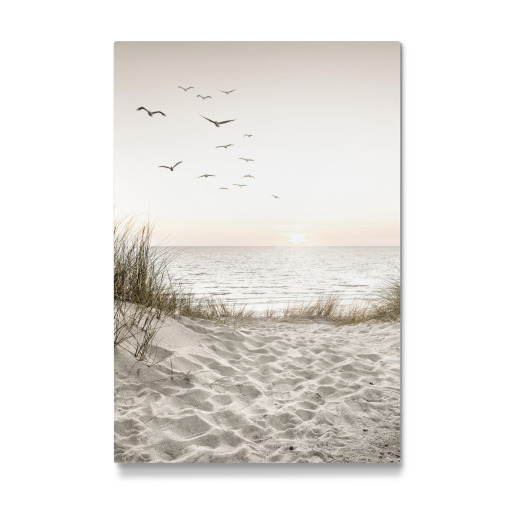 Birds at the sea