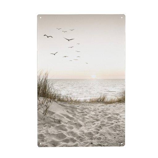Birds at the sea