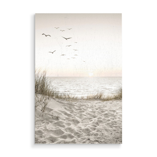 Birds at the sea