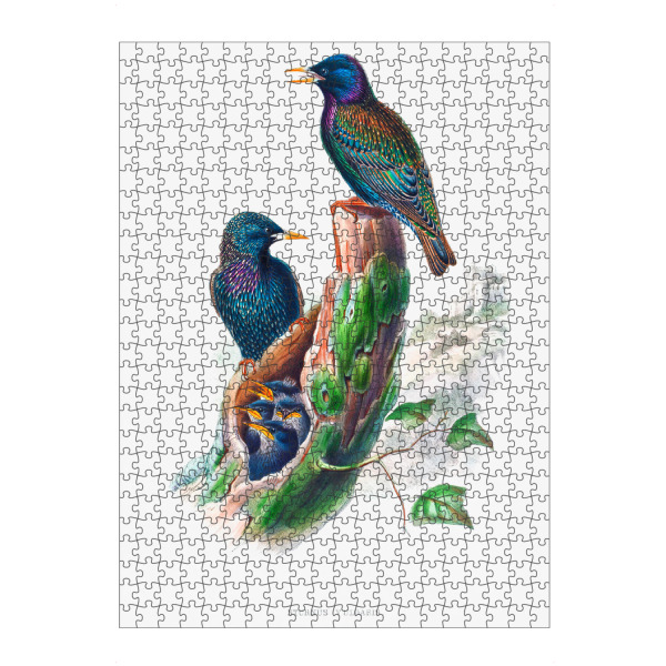 Puzzle Ravensburger "Sturnur vulgaris" artboxONE - Natur,Reise,Für Kinder,Tiere