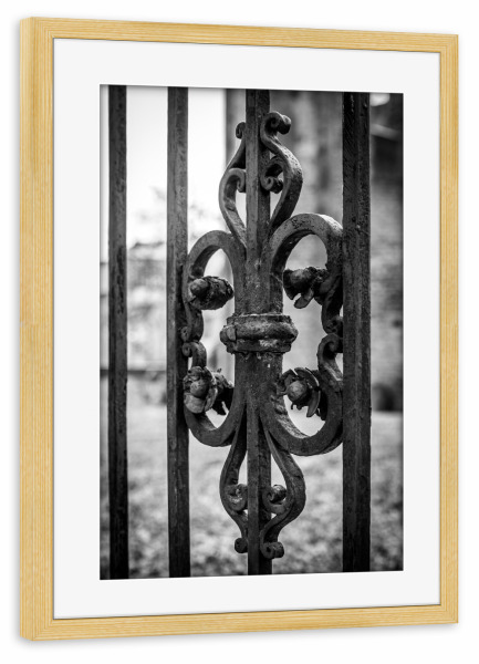 Poster mit Rahmen kiefer "Eisenzaun" artboxONE - Schwarzweiß,Architektur - Tor,Gatter,Eisen,Zaun,Schmiedeeisern,Schwarz weiß,Eisenzaun,Design