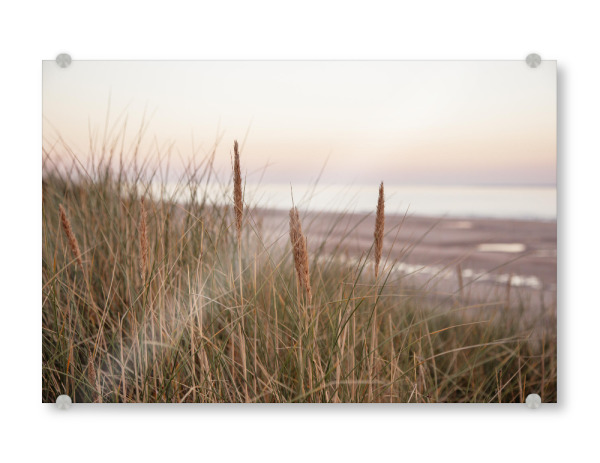 Acrylglasbild "Abendstimmung in den Dünen" artboxONE - Natur,Reise,Floral,Reise / Strand und Meer