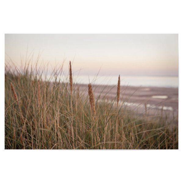 Poster 30x20 cm "Abendstimmung in den Dünen" artboxONE - Natur,Reise,Floral,Reise / Strand und Meer