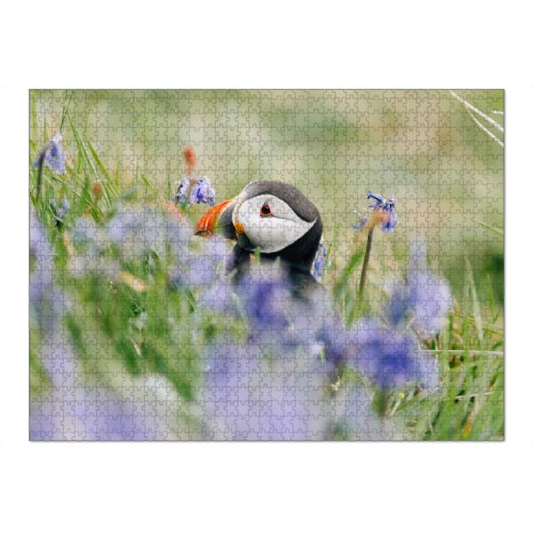 Puzzle Ravensburger "Papageientaucher in Blumen" artboxONE - Natur,Reise,Tiere