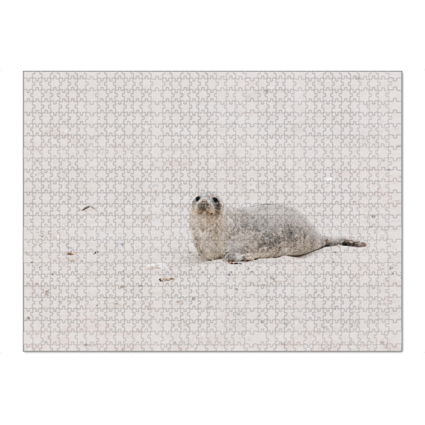 Puzzle Ravensburger "Babykegelrobbe" artboxONE - Natur,Tiere - Kegelrobbe,Robbe,Tierbaby,Tiere,Strand,Helgoland,Dünen,Sand,Seehund,Wildnis