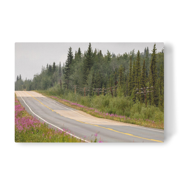 Leinwandbild "Der Alaska Highway" artboxONE - Natur,Reise - Kanada,Alaska,Yukon,Landschaft,Natur,Wildnis,Weidenröschen,Blumen,Sommer,Wald
