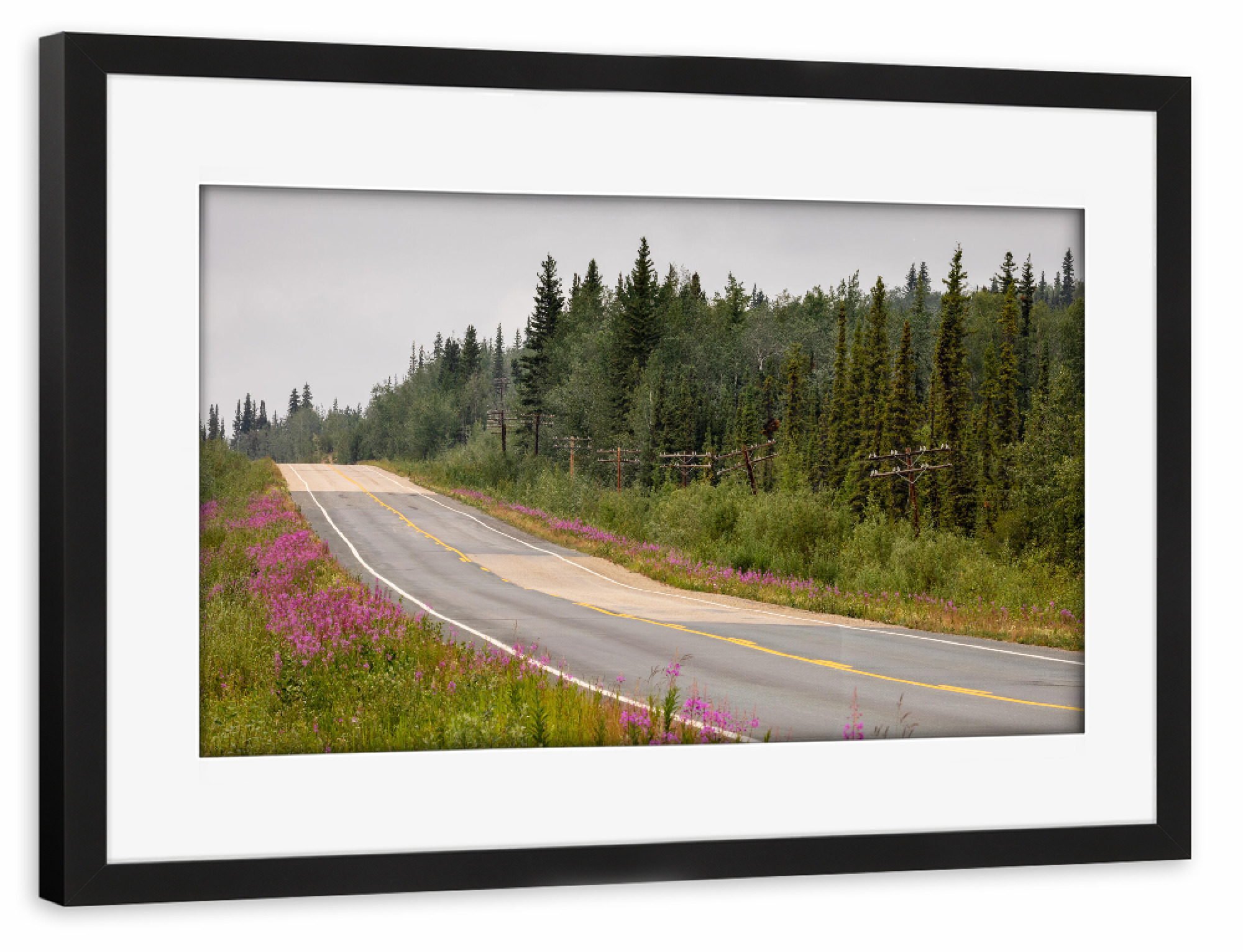 Poster mit Rahmen schwarz "Der Alaska Highway" artboxONE - Natur,Reise - Kanada,Alaska,Yukon,Landschaft,Natur,Wildnis,Weidenröschen,Blumen,Sommer,Wald