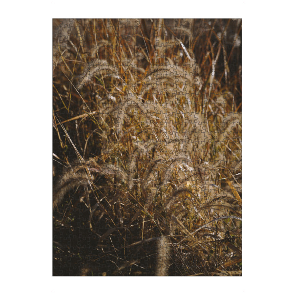 artboxONE Puzzle "Gelbe getrocknete Gräser" artboxONE - Natur,Floral - Gelbe,Getrocknete,Gräser,Natur - Bild gelbe