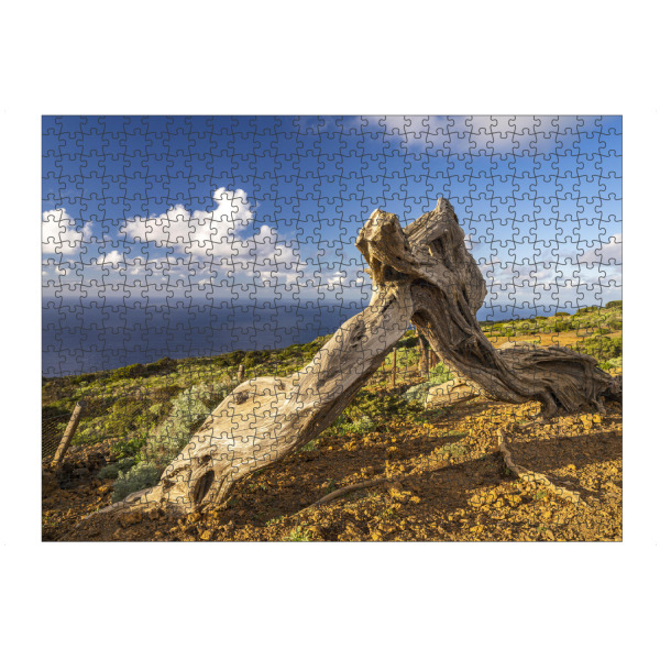 artboxONE Puzzle "Bizarre Baumstumpf bei El Sabinar" artboxONE - Natur,Reise