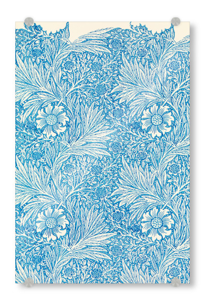 Acrylglasbild "Ringelblume" artboxONE - Natur,Floral,Abstrakt,Für Mama,Für Papa
