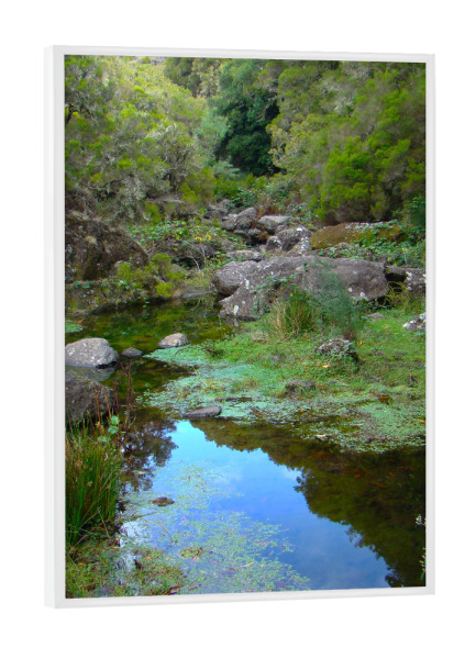 Poster mit weißem Rahmen "Wasserlandschaft @ Madeira" artboxONE - Natur,Reise,Reise / Länder