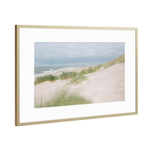 Poster mit Rahmen Gold "Strand mit Kormoranen" artboxONE - Natur,Reise,Floral,Reise / Strand und Meer