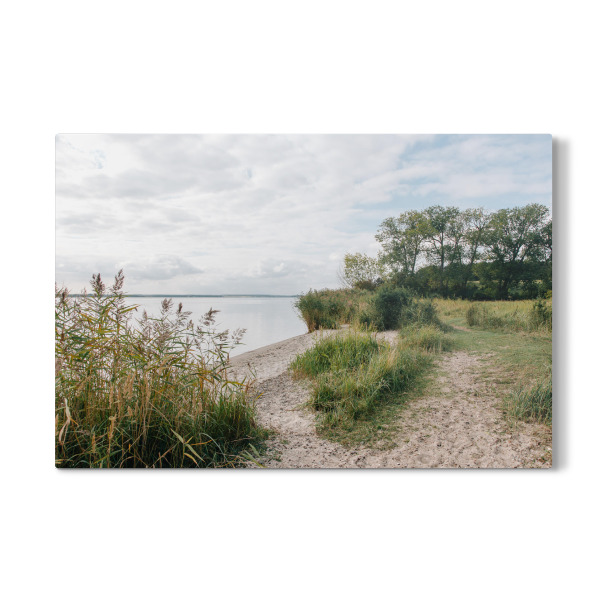 Galerie-Print "Usedomer Natur" 30x20 cm artboxONE