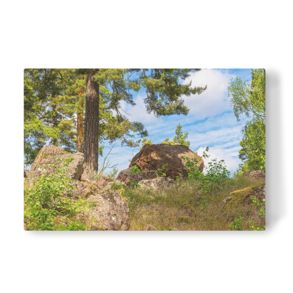 Leinwandbild "Wald, Felsen, Himmel" artboxONE - Natur,Reise,Reise / Länder