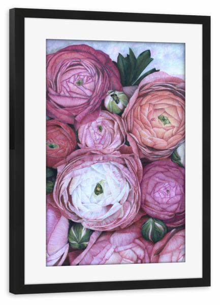 Poster mit Rahmen schwarz "Arleth Ranunkel-Strauß" artboxONE - Floral - Blumen,Rosa,Ranunkeln,Blumenstrauß,Bleistifte,Botanik,Blumenkunst,Floral,Natur