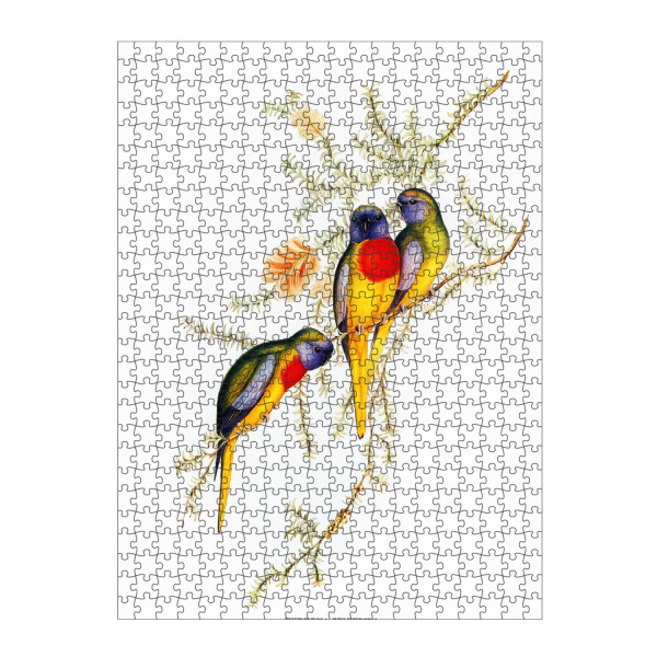 artboxONE Puzzle "Prächtiger Grassittich" artboxONE - Natur,Reise,Für Kinder,Tiere,Für Mama