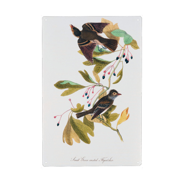 Holzbild "Die Vögel von Amerika" artboxONE - Natur,Reise,Für Kinder,Tiere