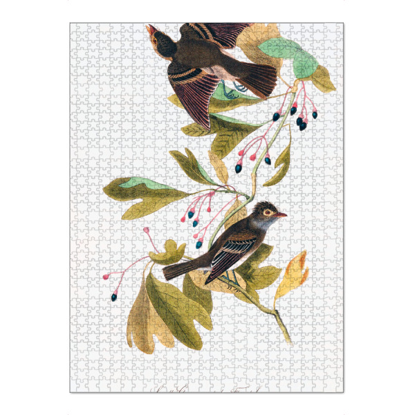 Puzzle Ravensburger "Die Vögel von Amerika" artboxONE - Natur,Reise,Für Kinder,Tiere