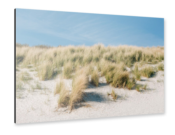 Alu-Dibond "Strandhafer vor blauem Himmel" 30x20 cm artboxONE