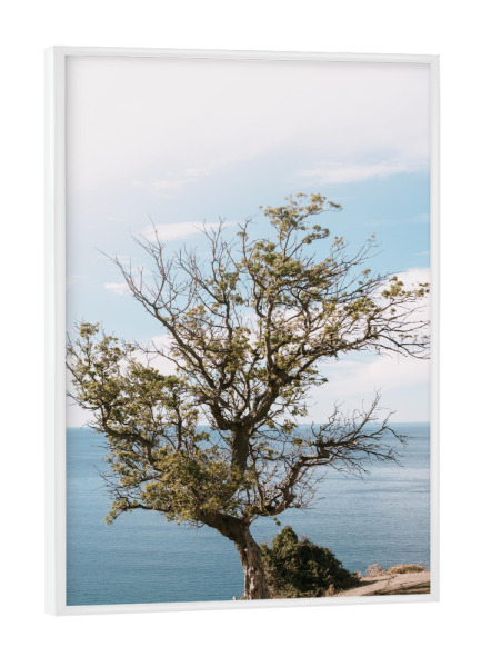 Poster mit weißem Rahmen "Ocean behind the tree" artboxONE - Natur,Reise,Reise / Strand und Meer,Reise / Länder