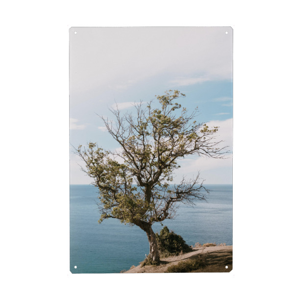 Holzbild "Ocean behind the tree" artboxONE - Natur,Reise,Reise / Strand und Meer,Reise / Länder