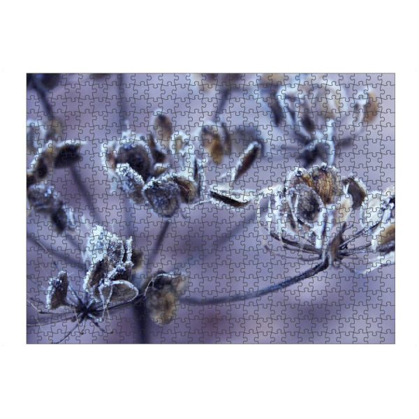 artboxONE Puzzle "Winterblumen" artboxONE - Natur,Floral - Trockenblume,Frost,Morgentau,Naturliebe,Reif,Schnee,Schneeblume,Winterblumen,Winter