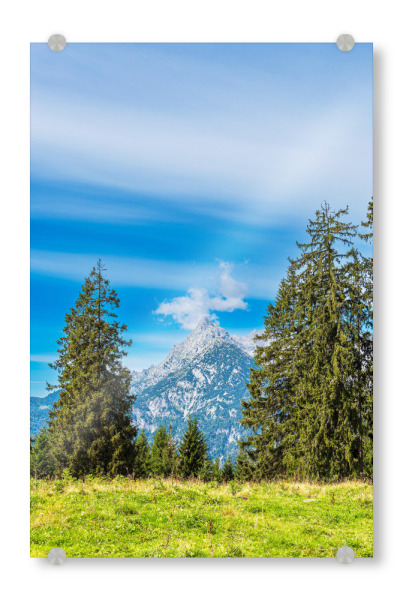 Acrylglasbild "Wiese, Bäume, Gipfel" artboxONE - Natur,Reise