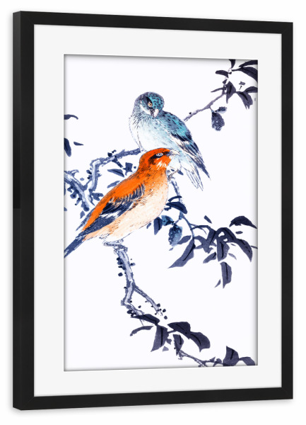 Poster mit Rahmen schwarz "Kreuzschnäbel" artboxONE - Natur,Für Kinder,Tiere