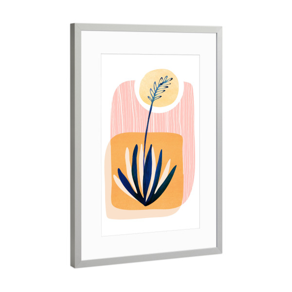 Poster mit Rahmen Silber "Kristian Gallagher - Agave Sun" artboxONE - Natur,Floral