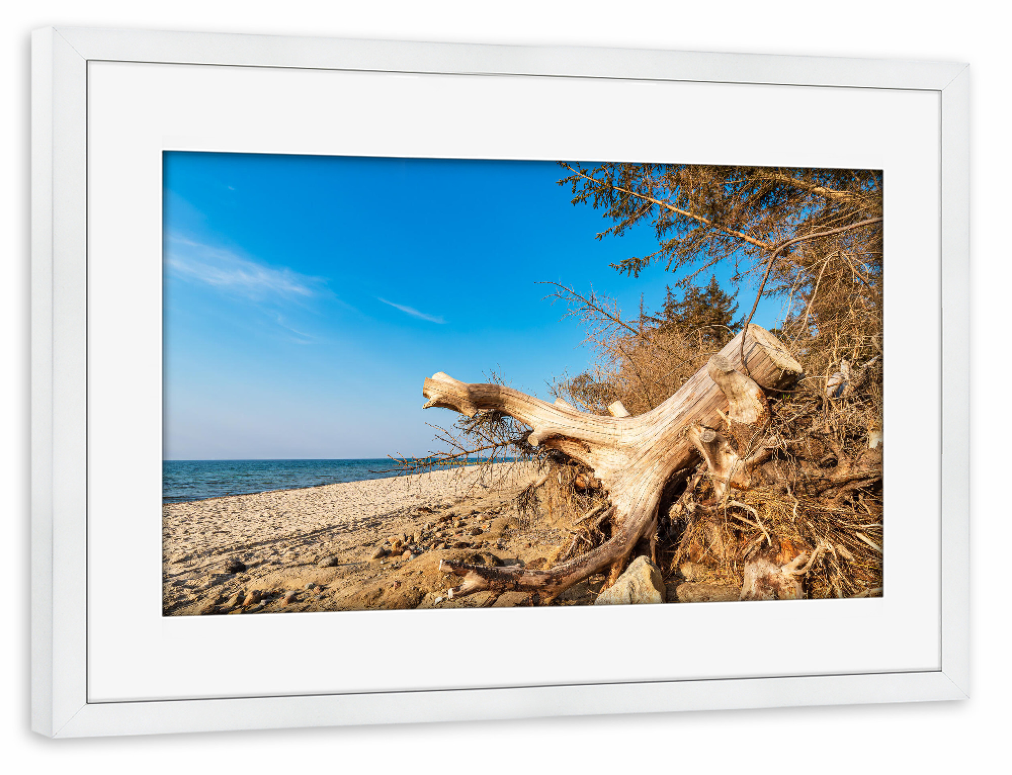 Poster mit Rahmen weiß "Baumstamm, Strand, Meer" artboxONE - Natur,Reise,Reise / Strand und Meer