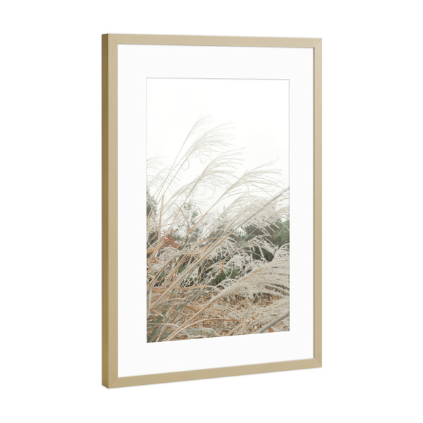 Poster mit Rahmen Gold "Pampasfeld" artboxONE - Natur,Floral,Für Mama - Pampas,Gras,Natur,Floral,Botanisch