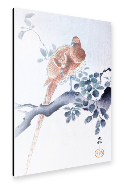 Alu-Dibond "Kupferfasan" 30x20 cm artboxONE