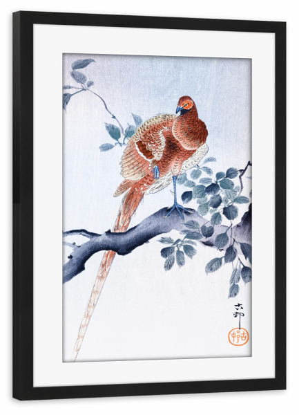 Poster mit Rahmen schwarz "Kupferfasan" artboxONE - Natur,Für Kinder,Tiere
