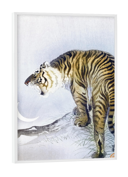 Poster mit weißem Rahmen "Brüllender Tiger - Koson" artboxONE - Natur,Tiere,Reise / Asien
