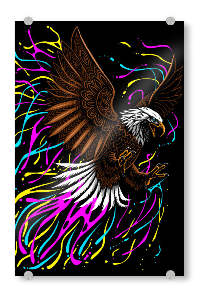 Acrylglasbild "Stammesadler spritzt" artboxONE - Tiere