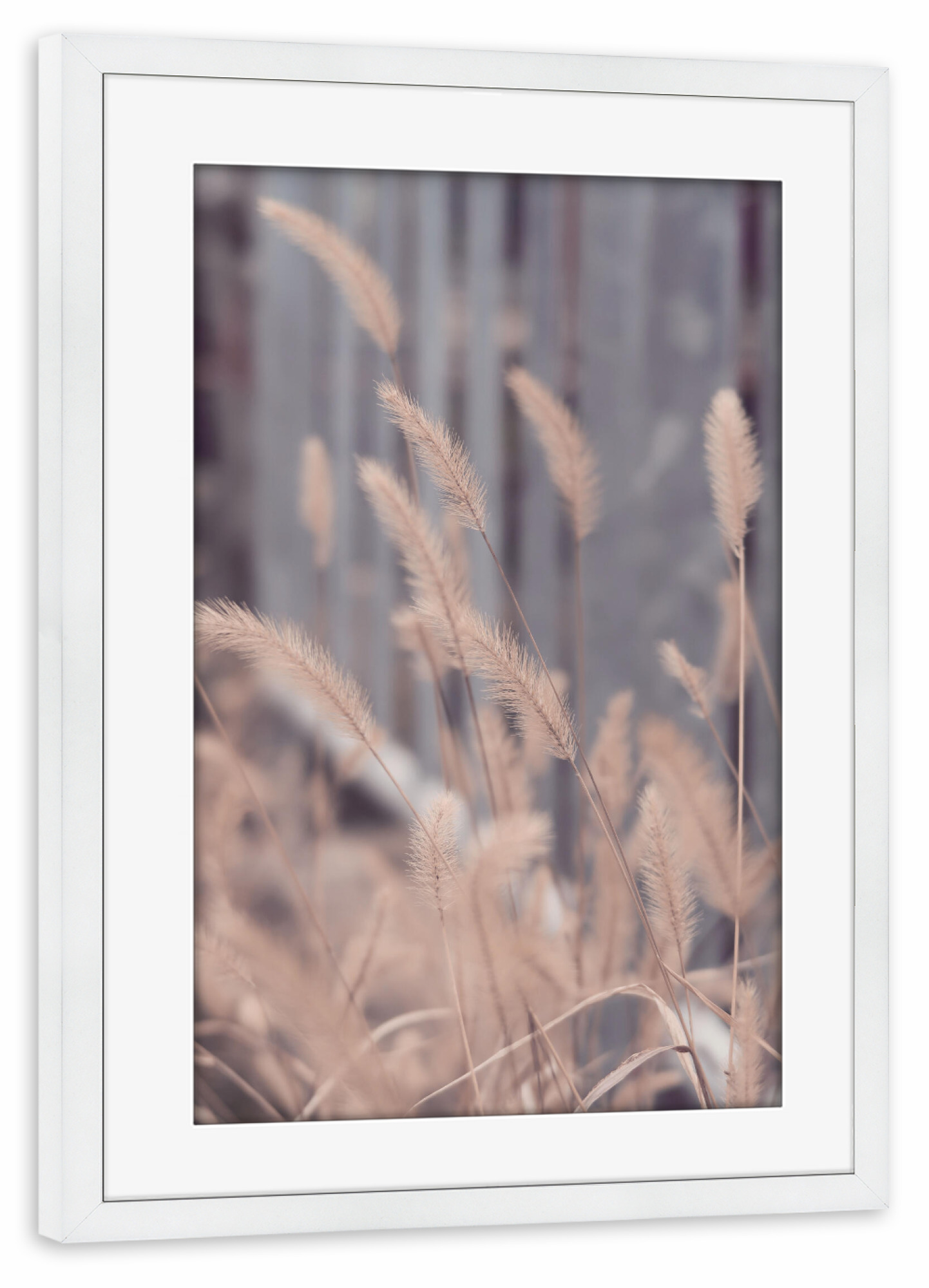 Poster mit Rahmen weiß "Wind weht Gras" artboxONE - Natur,Floral,Liebe - Wind weht gras,Gras,Pampas