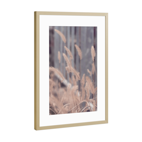 Poster mit Rahmen Gold "Wind weht Gras" artboxONE - Natur,Floral,Liebe - Wind weht gras,Gras,Pampas
